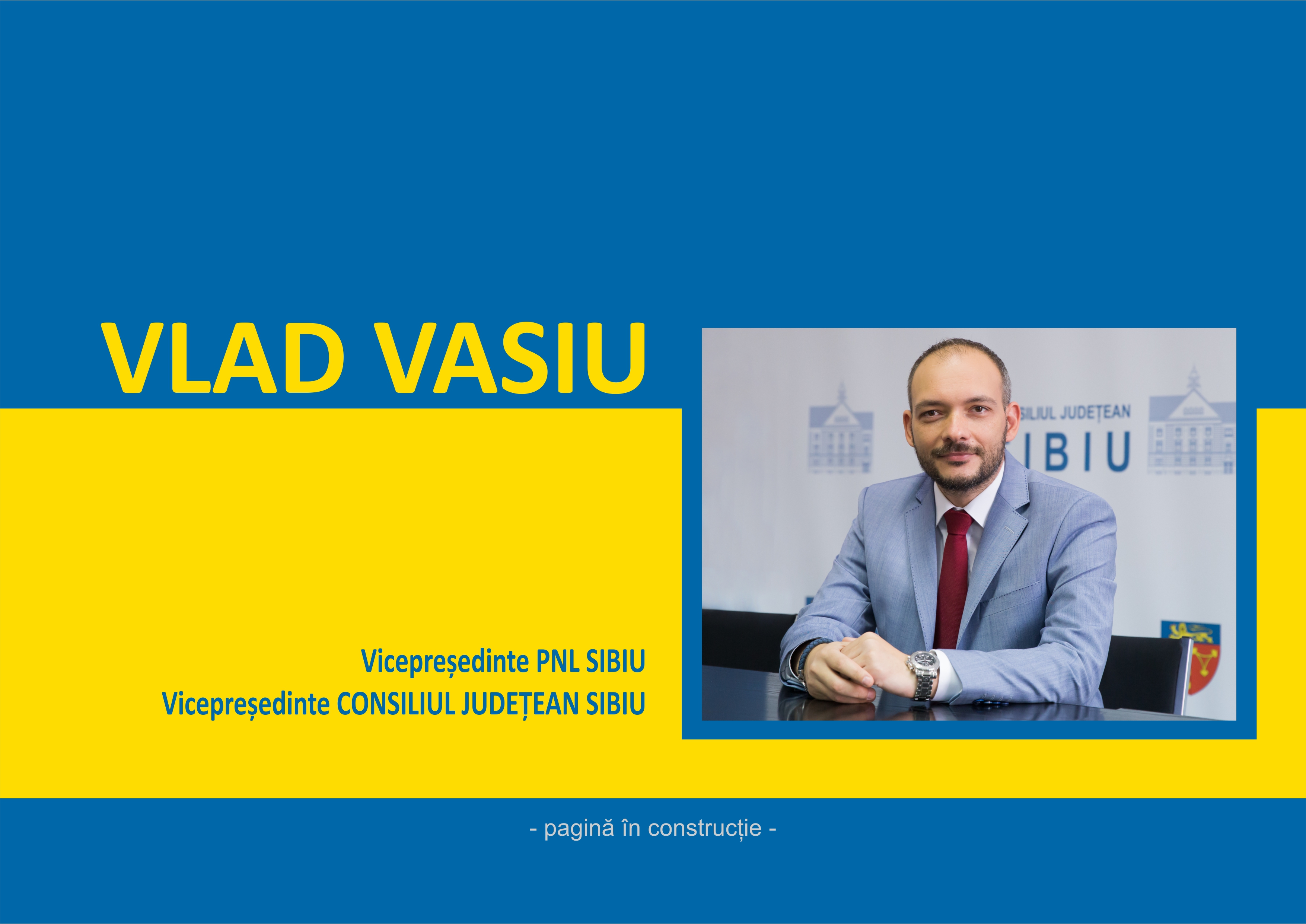 Vlad Vasiu